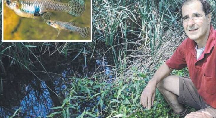 Marty Lenard : Article on Creek Predator