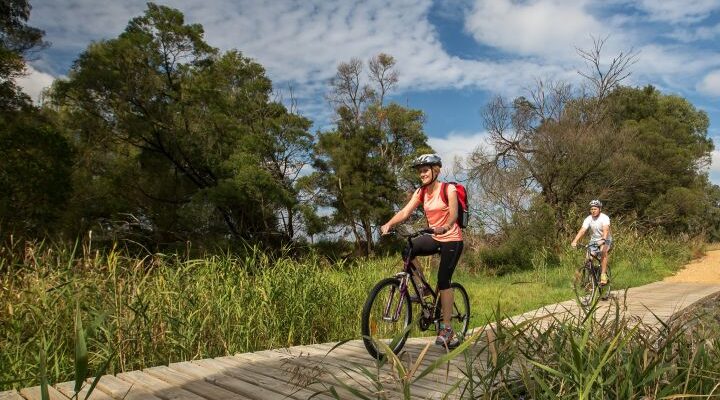 Shared Paths : The Missing Link – Mornington to Moorooduc Trail