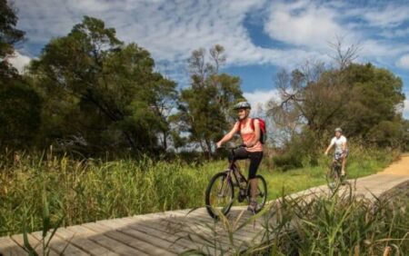 Shared Paths : The Missing Link – Mornington to Moorooduc Trail
