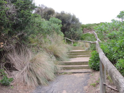Path to Mills Beach