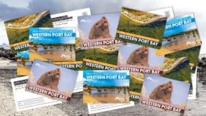2023: YEAR OF GREATER VISION FOR WESTERNPORT BAY