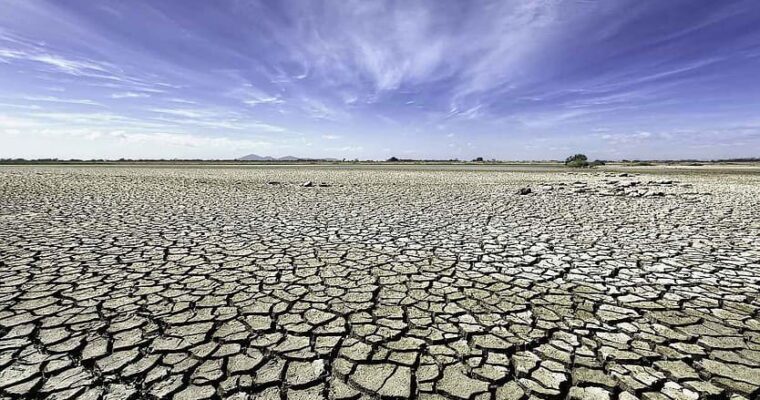 Universities share $38m in drought resilience funding