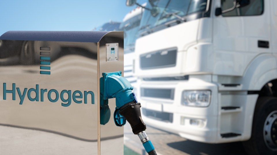 Australia at risk of falling behind the world in hydrogen-powered transport