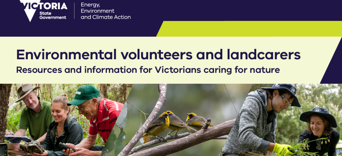 DEECA April Newsletter for Environmental Volunteers and Landcarers