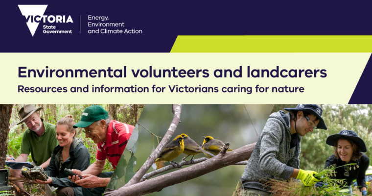 DEECA October Newsletter for environmental volunteers and landcarers