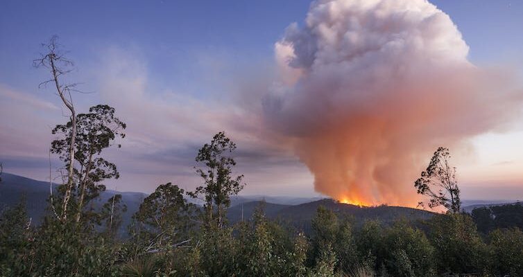 Fire is consuming more than ever of the world’s forests, threatening supplies of wood and paper