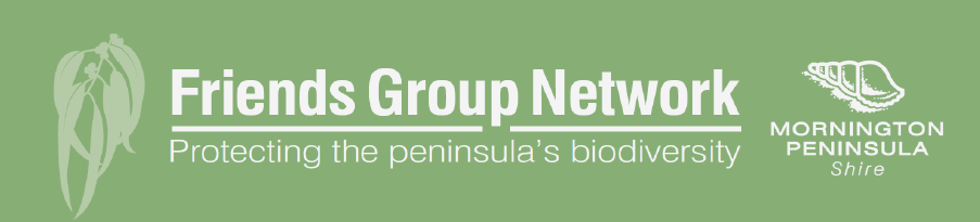 Friends Group newsletter, spring 2023