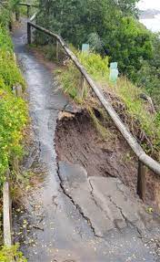 Help save the Beleura Cliff Path