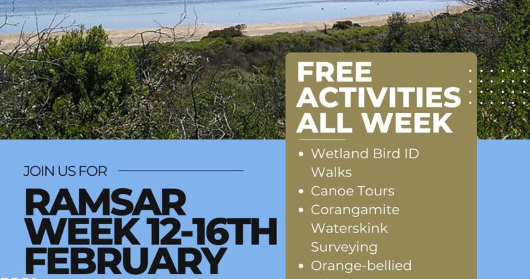 Free Events  during Ramsar Week