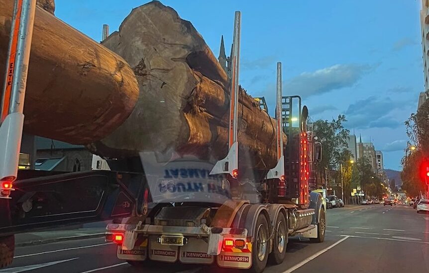 Thousands more of Tasmania ‘giant’ native trees could be spared from logging under policy change