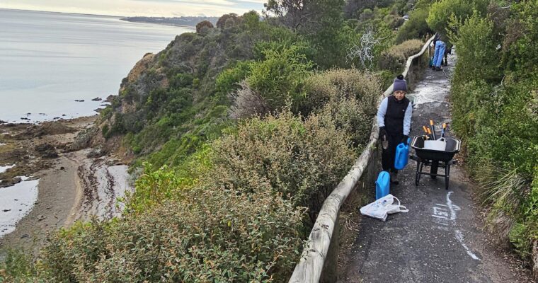 Beleura Cliff Path working bee, June 2024 