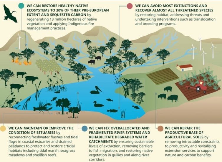 The Wentworth Group’s Blueprint to repair Australia’s landscapes.